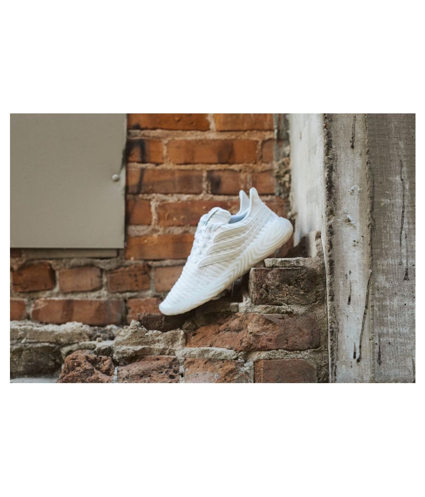 sobakov triple white