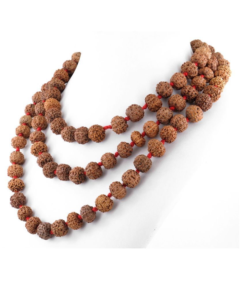     			Gems Jewels Online Rudraksha Pack of 1