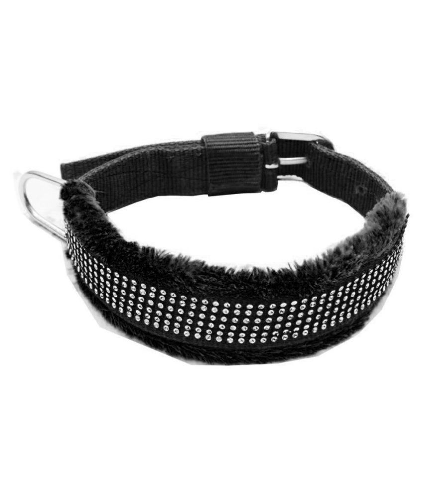     			Petshop7 - Black Dog Collar (Large)