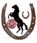 Kale Godhe ki naal/Black Horse Shoe/ghore ki naal/Horse Shoe for Good Luck/Naal to Protect Your Home/Office from Evil Eyes,(Brown