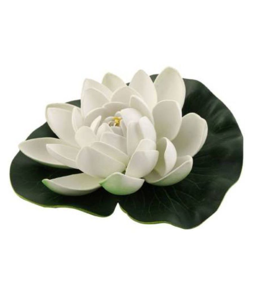 Green plant indoor Lotus White Floating Flowers - Pack of 3: Buy Green ...