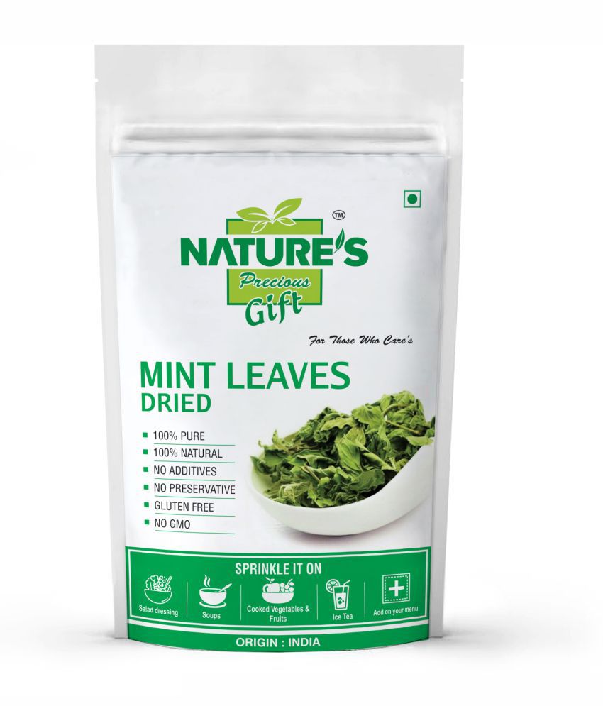     			Nature's Gift - 100 gm Pudina (Mint leaves) (Pack of 1)