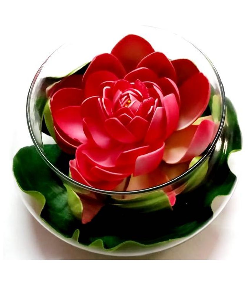     			Green plant indoor Lotus Red Flowers With Pot - Pack of 1