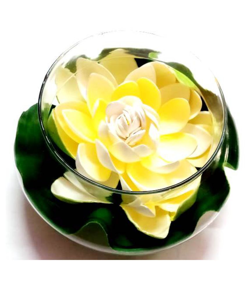 Green plant indoor Lotus White Flowers With Pot - Pack of ...