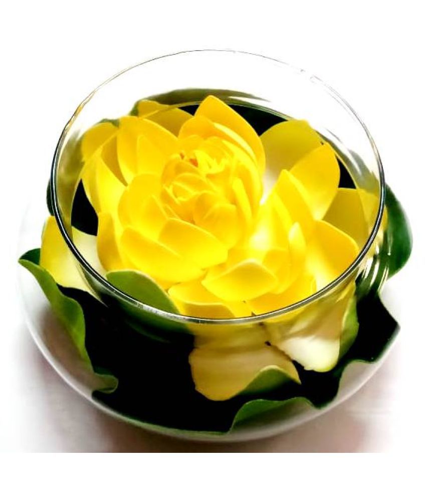 Green plant indoor Lotus Yellow Flowers With Pot - Pack of ...