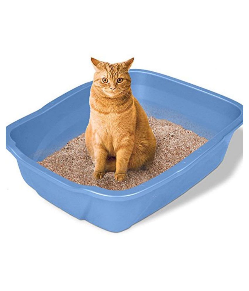 cedar cat litter