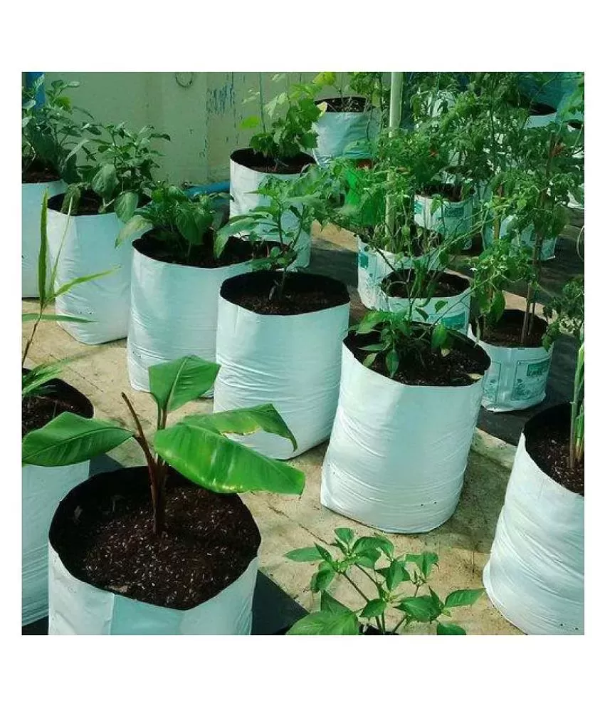 Buy Grow Bags Strong  UV Stabilized Online In India  Best Price   SeedBasket