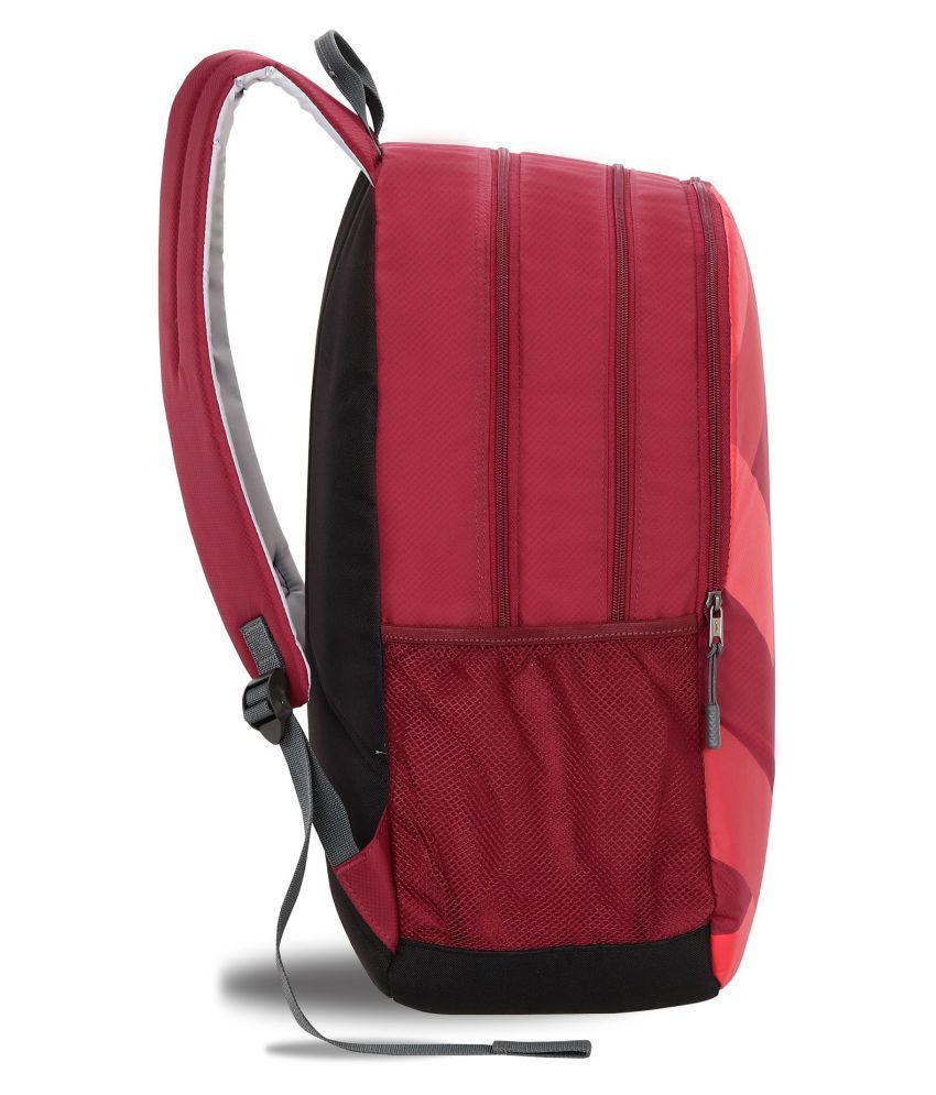 lavie college bags
