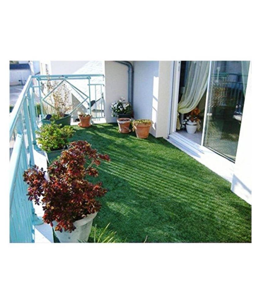Carpet Grass Cost
