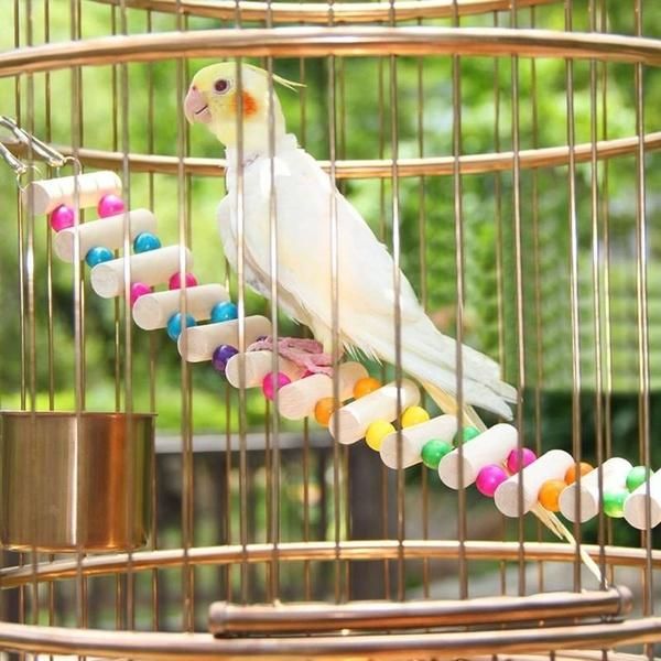 parrot toys online