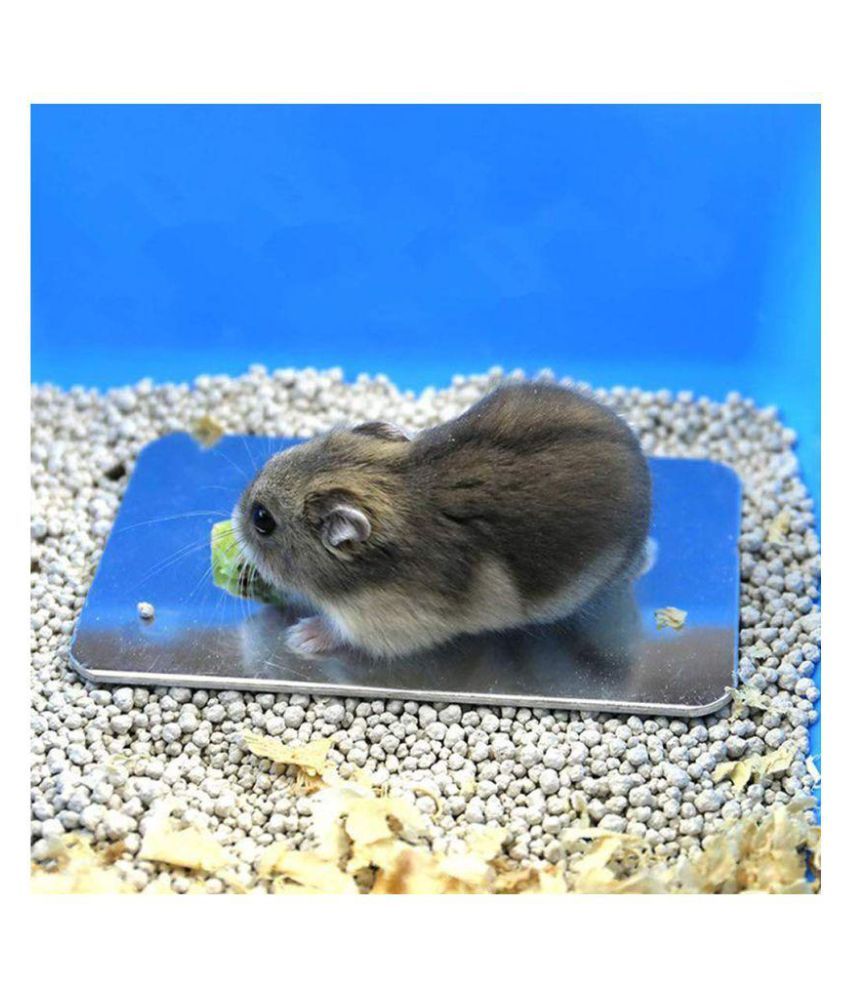 Jainsons Pet Products Small Animal Aluminum Cooling Pad, Washable Pet