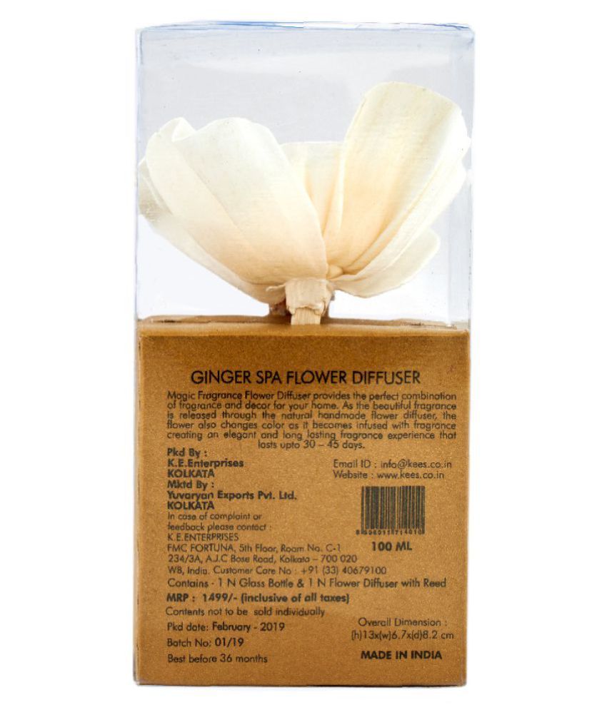 Ginger Flower Diffuser Best Flower Site