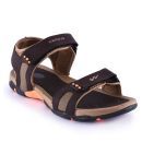 Campus Brown Synthetic Leather Sandals