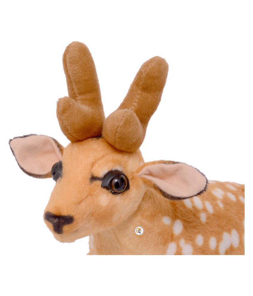 teddy deer