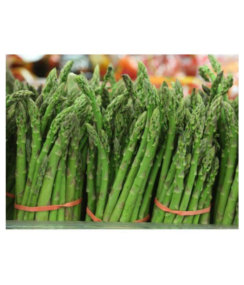 Herbal Plants For Growing Asparagus Officinalis Kitchen Garden Pack Buy Herbal Plants For