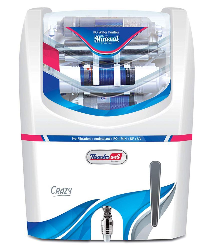 best ant killer that's safe for pets