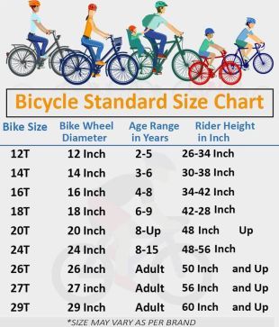 ladybird breeze cycle price