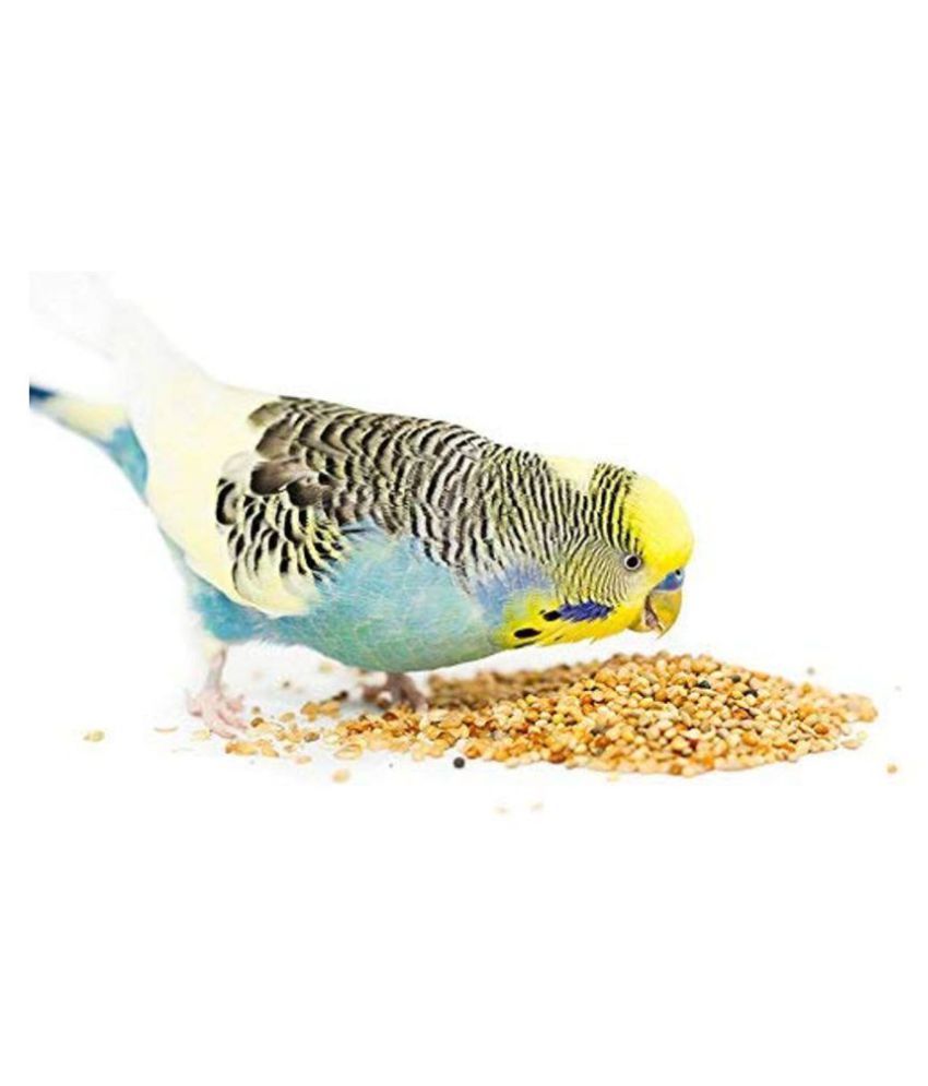 Bird Food -Fresh & Natural - Yellow Millet seeds with Cuttle Fish Bone ...