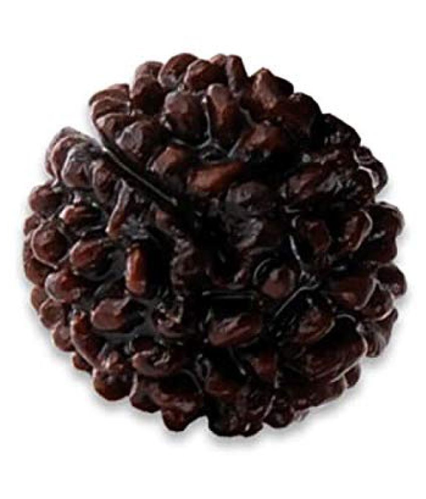 1 Mukhi Rudraksha 100 Best Pure Quality Gol Dana Nepal Rudraksha By Lab Certified Buy 1 Mukhi Rudraksha 100 Best Pure Quality Gol Dana Nepal Rudraksha By Lab Certified At Best Price 1 mukhi rudraksh (shiv swarupam). inr
