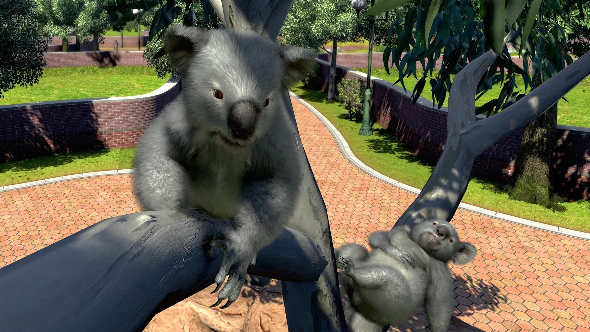 play zoo tycoon online free no download