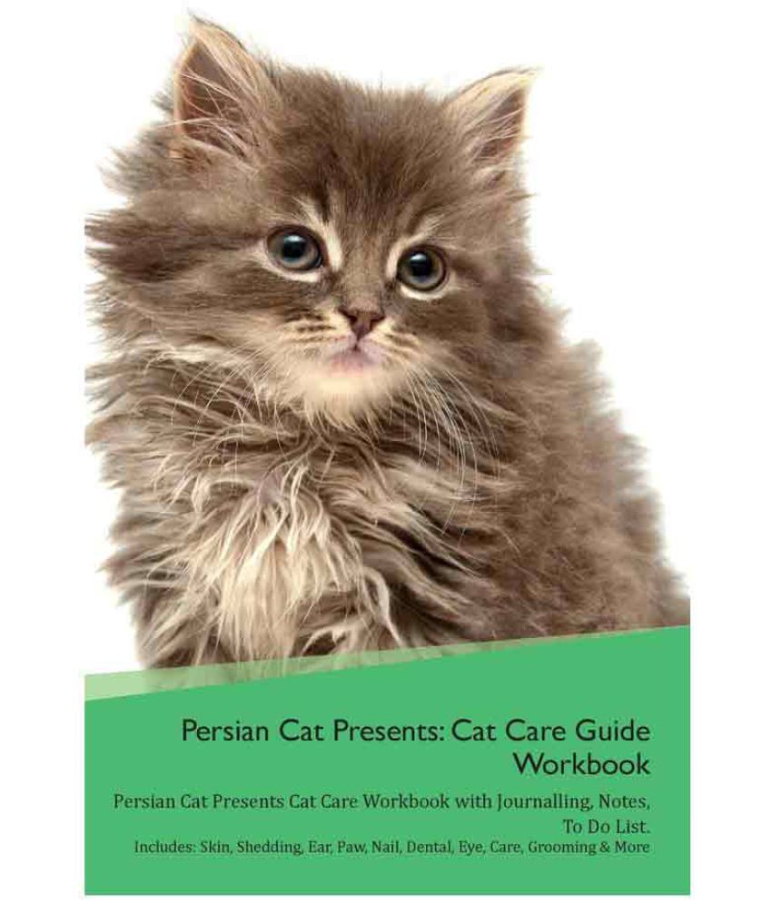 Persian Cat Presents: Buy Persian Cat Presents Online at ...