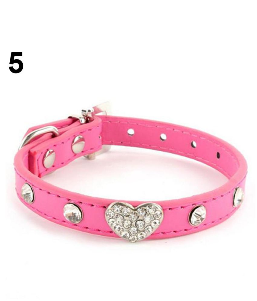 puppy belt online