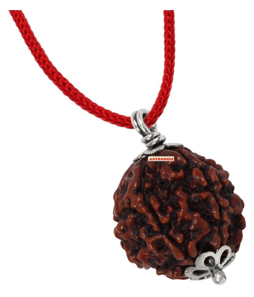     			Astrodidi 5 Mukhi Five Face Rudraksha With Lab Report