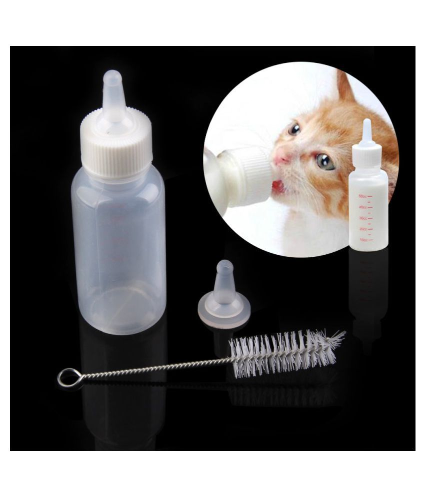 cat milk bottle