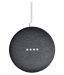 Google Home Mini Charcoal Smart Plug LED