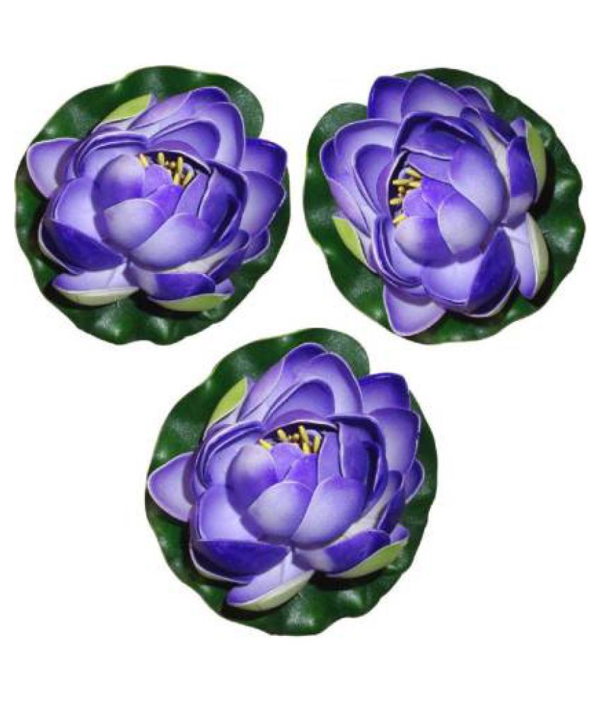     			Green plant indoor Lotus Blue Floating Flowers - Pack of 3