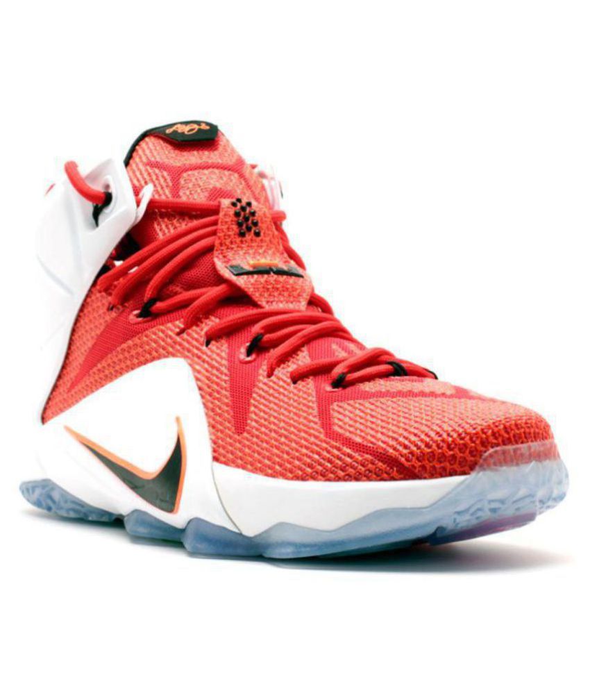 lebron shoes with the lion on it