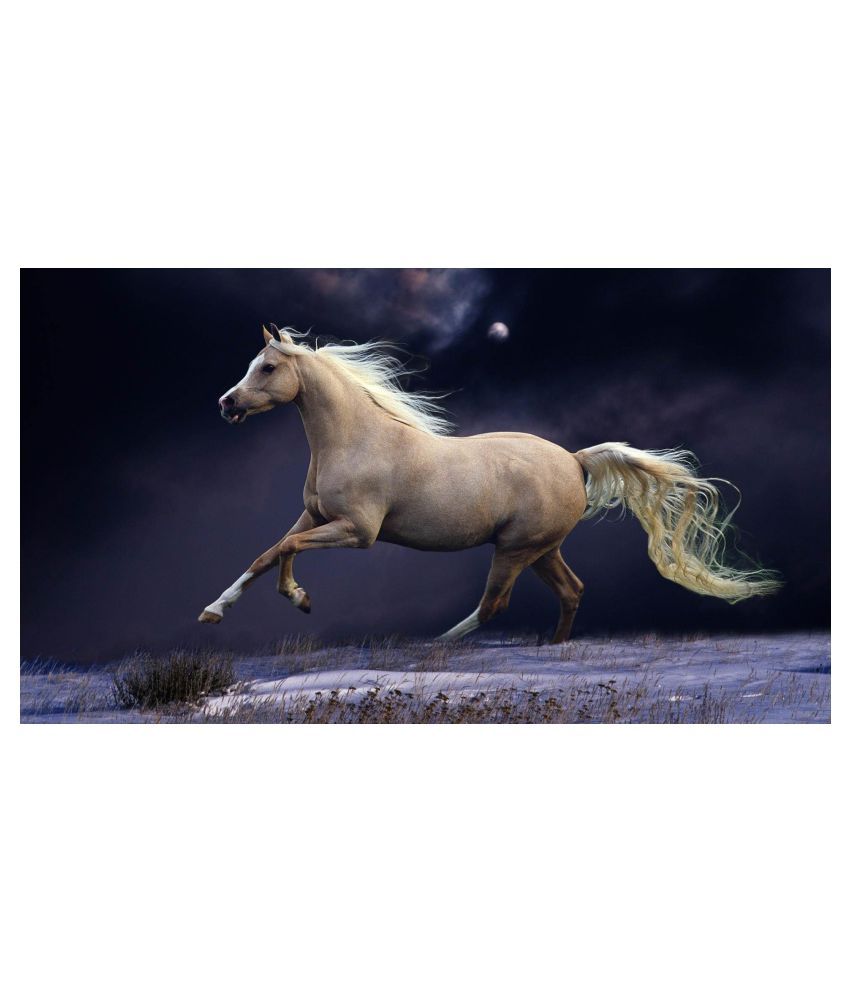     			American Noti Lucky Horse Paper Wall Poster Without Frame