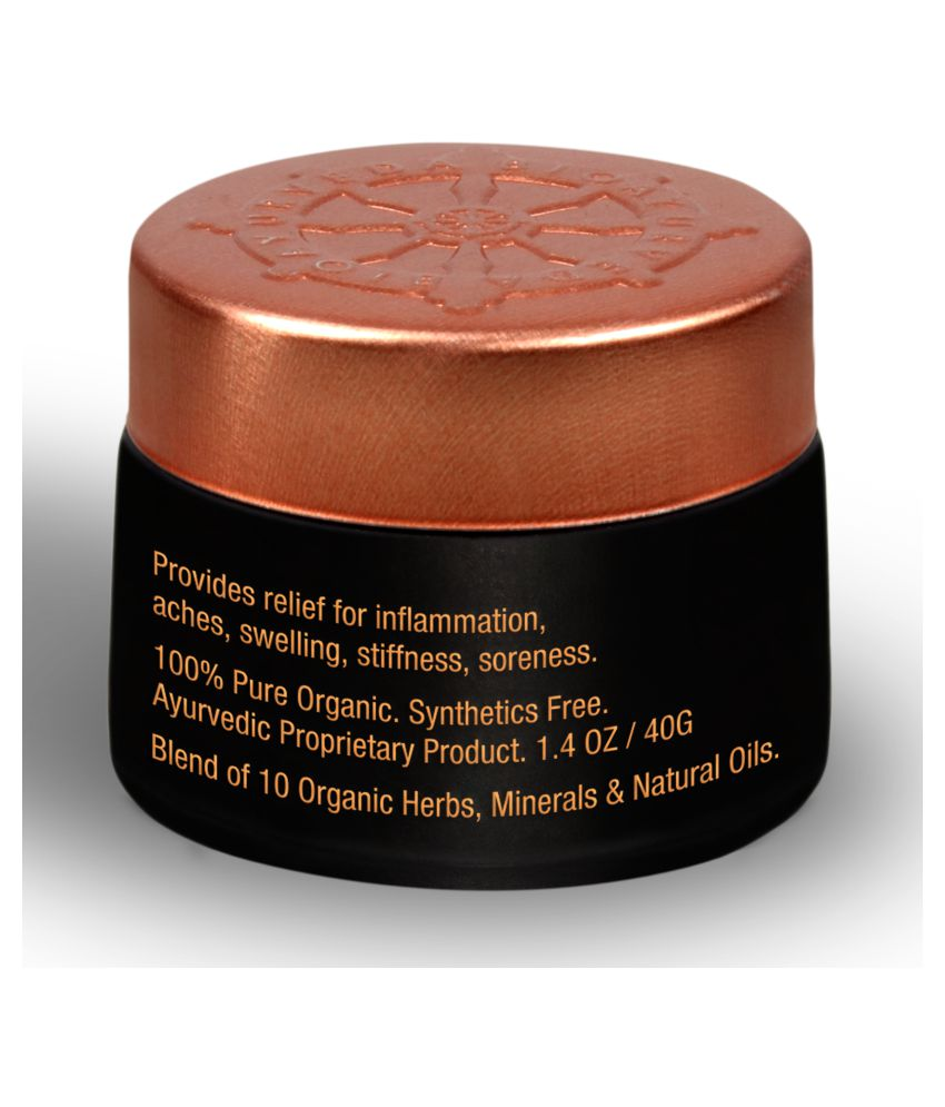 BioAyurveda JOINT PAIN RELIEF BALM 40 gm BALM Buy BioAyurveda JOINT