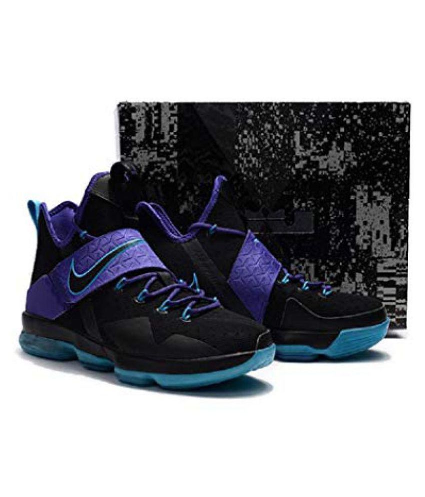 lebron 14 purple