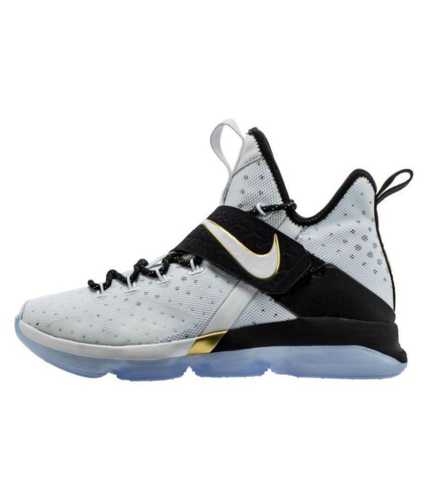 lebron james 14