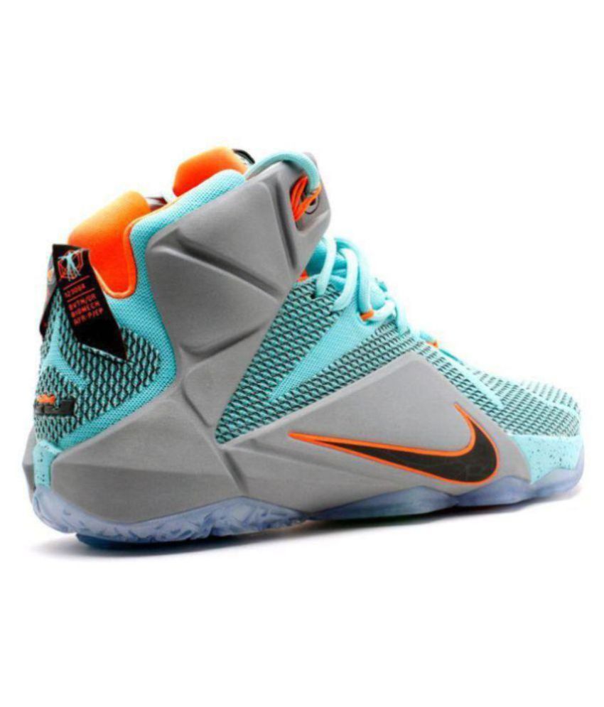 lebron x 12