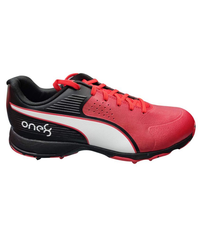 puma shoes cricket