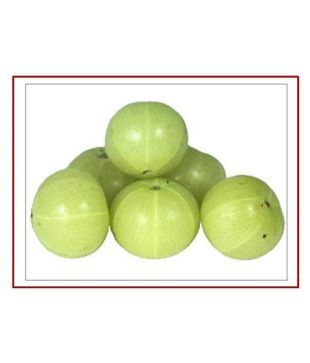 Rk Seeds Amla Seeds Indian Gooseberry Emblica Officinalis Pack Of 100 Gm Buy Rk Seeds Amla Seeds Indian Gooseberry Emblica Officinalis Pack Of 100 Gm Online At Low Price Snapdeal