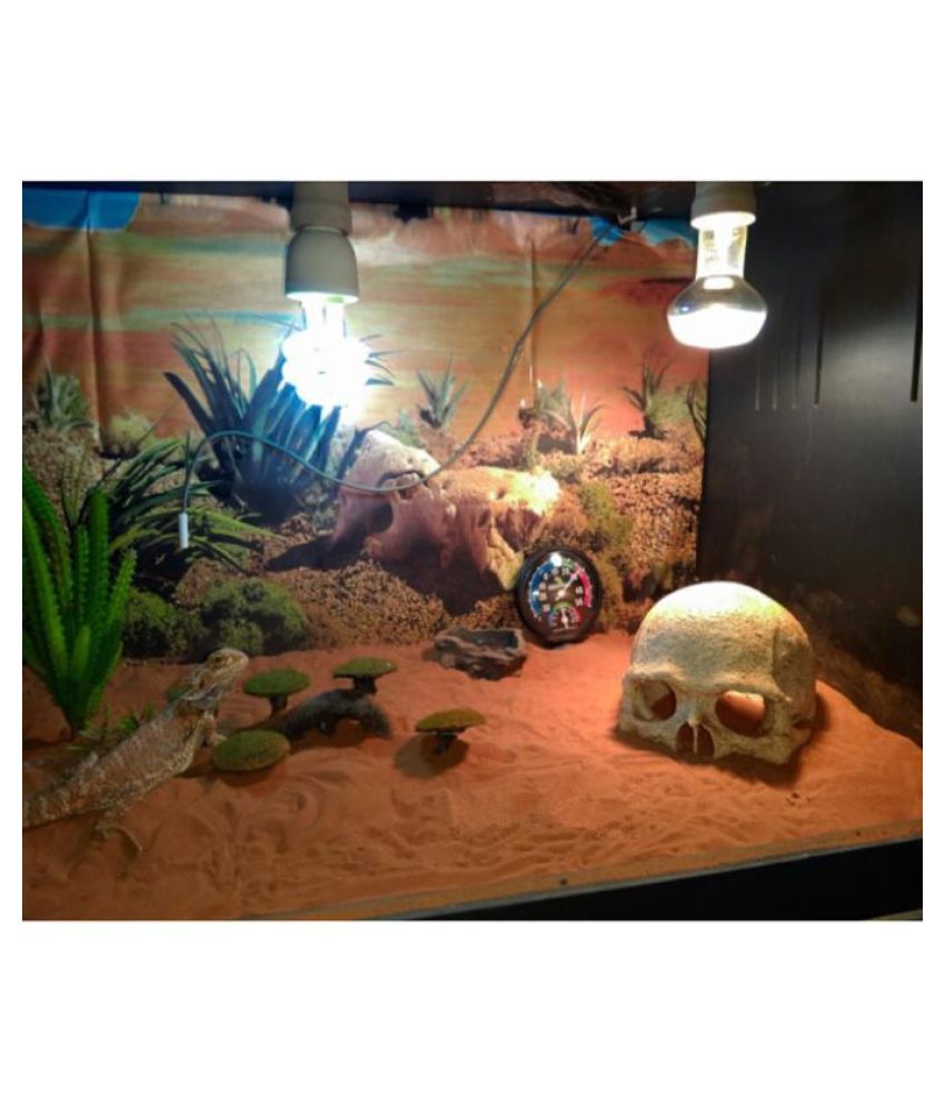 Halloween Aquarium Decorative Resin Skull Crawler Dragon Lizards