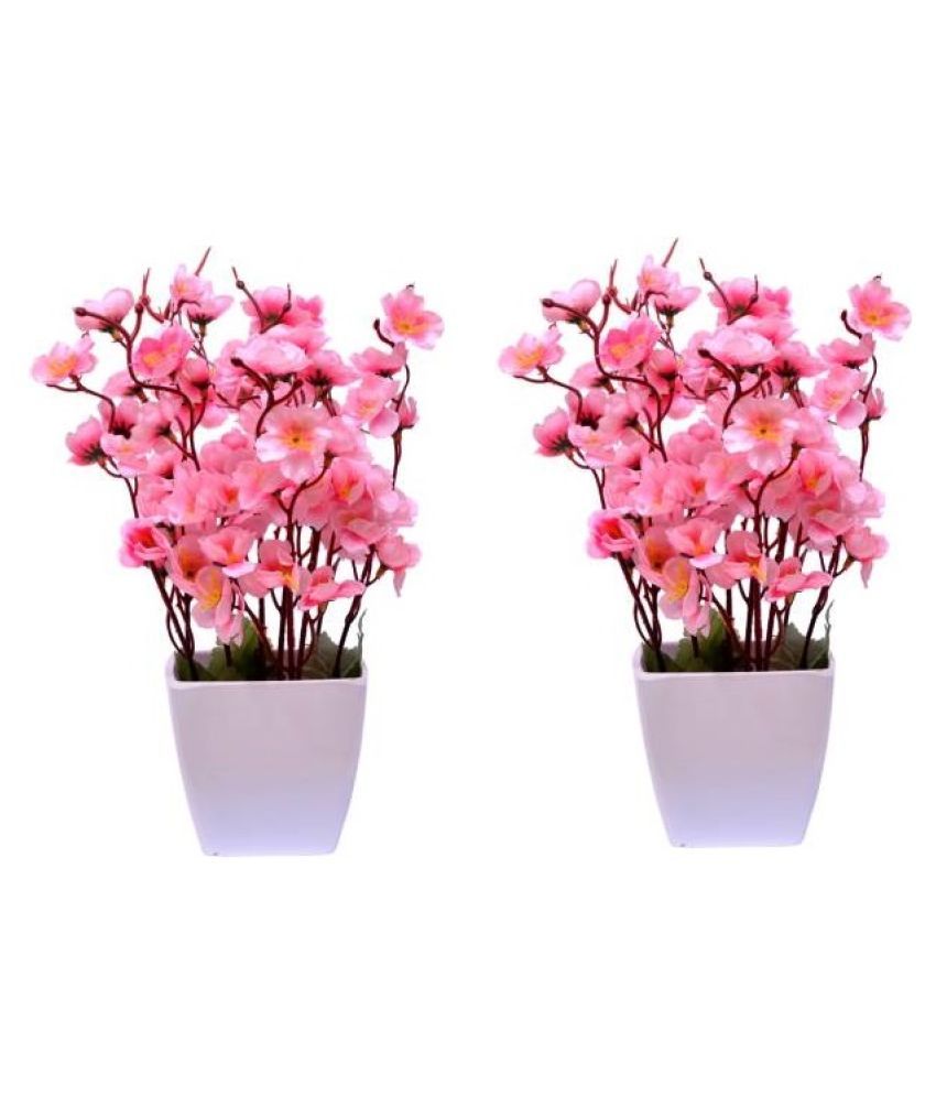     			Green plant indoor Orchids Pink Flowers With Pot - Pack of 2