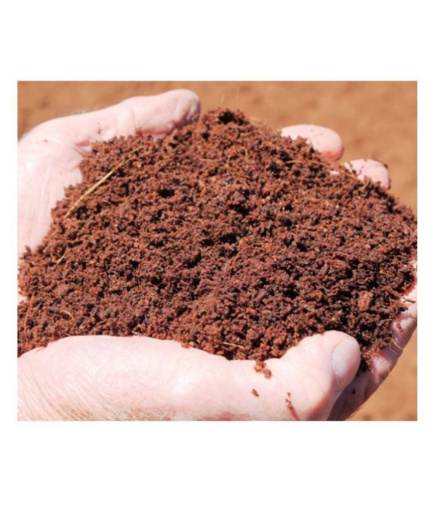 Cora 9002 Loose Coco Coir Potting Soil 1 Kg Buy Cora 9002 Loose Coco