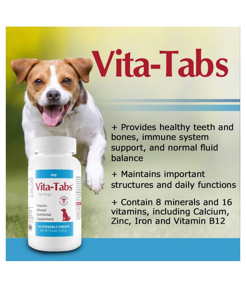 vitamin b supplements for dogs