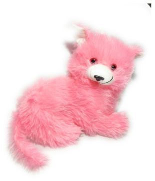 pink dog teddy