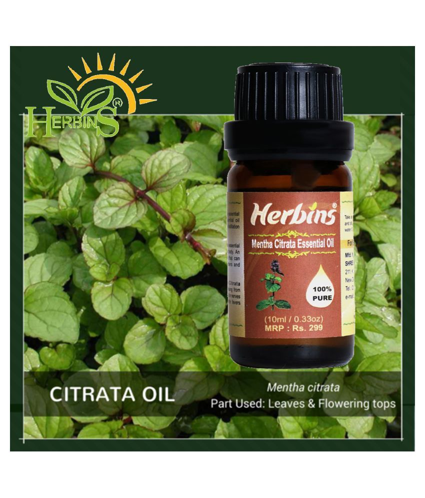 Herbins Mentha Citrata Essential Oil 10 mL Buy Herbins