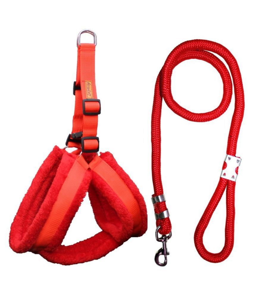     			Petshop7 - Red Dog Combo (Medium)