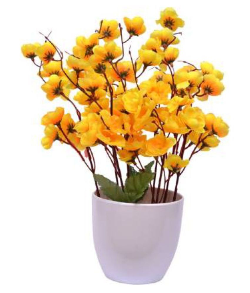     			Green plant indoor Orchids Yellow Flowers With Pot - Pack of 1