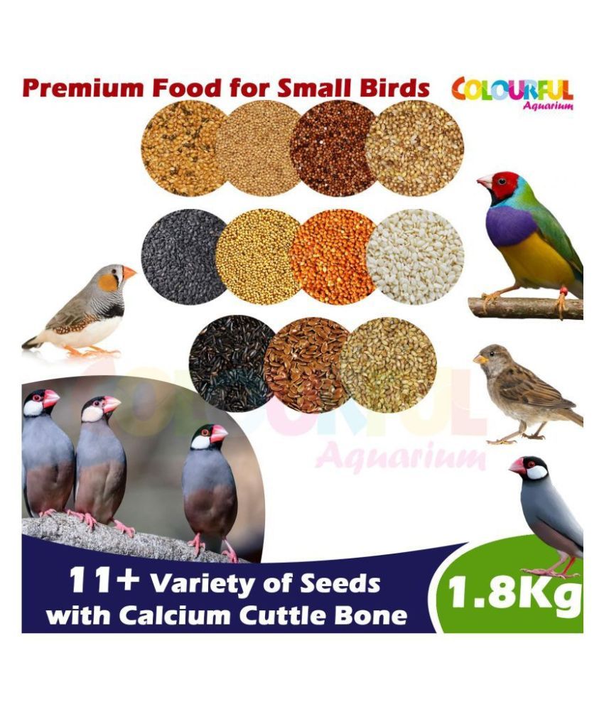     			COLOURFUL - Natural & Healthy Birds Food for Sparrow, Silverbill, Finches & Java | Daily Birds Food Seed Mix (1800g)