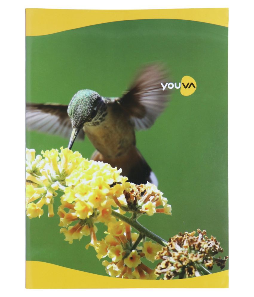     			Navneet Youva Soft Bound Long Book  21x29.7 cm Single Line 140 Pages - Pack of 12