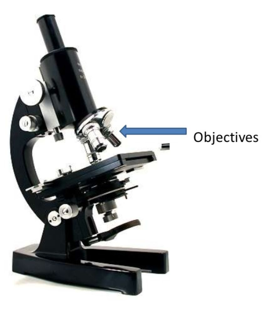 Compound student microscope for students and school laboratory with