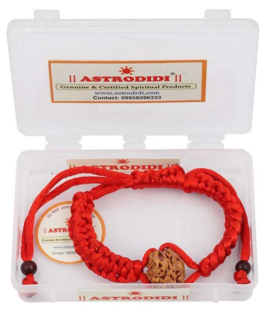     			Astrodidi 5 Mukhi Five Face Rudraksha Bracelet